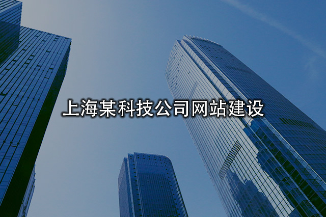 上海某科技公司网站建设