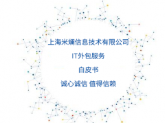 IT外包服务白皮书—上海颐泽信息技术有限公司